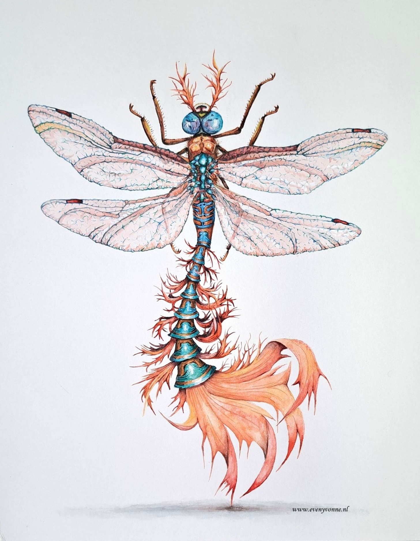 dansende libelle 2 klein corr WS Een libelle met een fantasiestaart waarbij het lijkt alsof hij danst en op zijn staart staat
