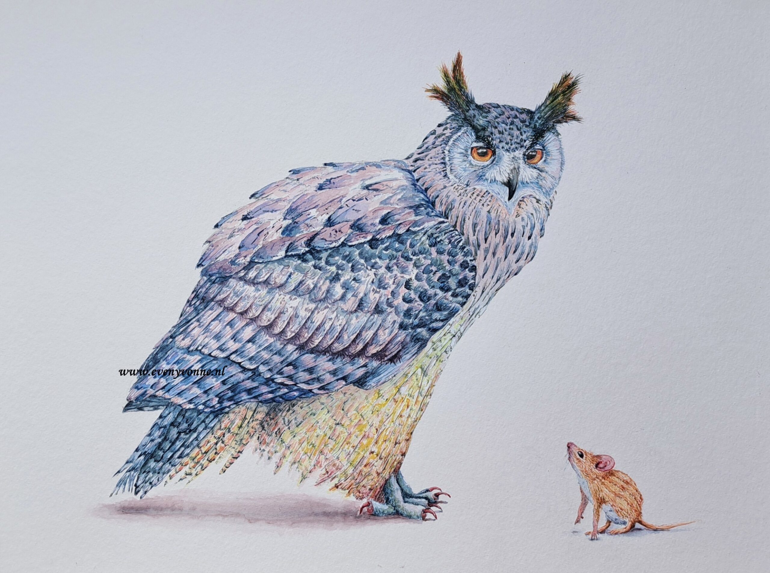 Een blauwe uil met muis die naar hem opkijkt