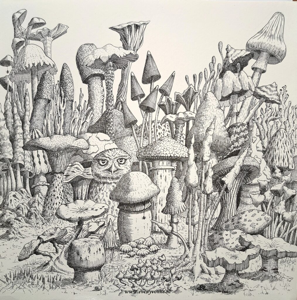 pentekening paddenstoel uil bos